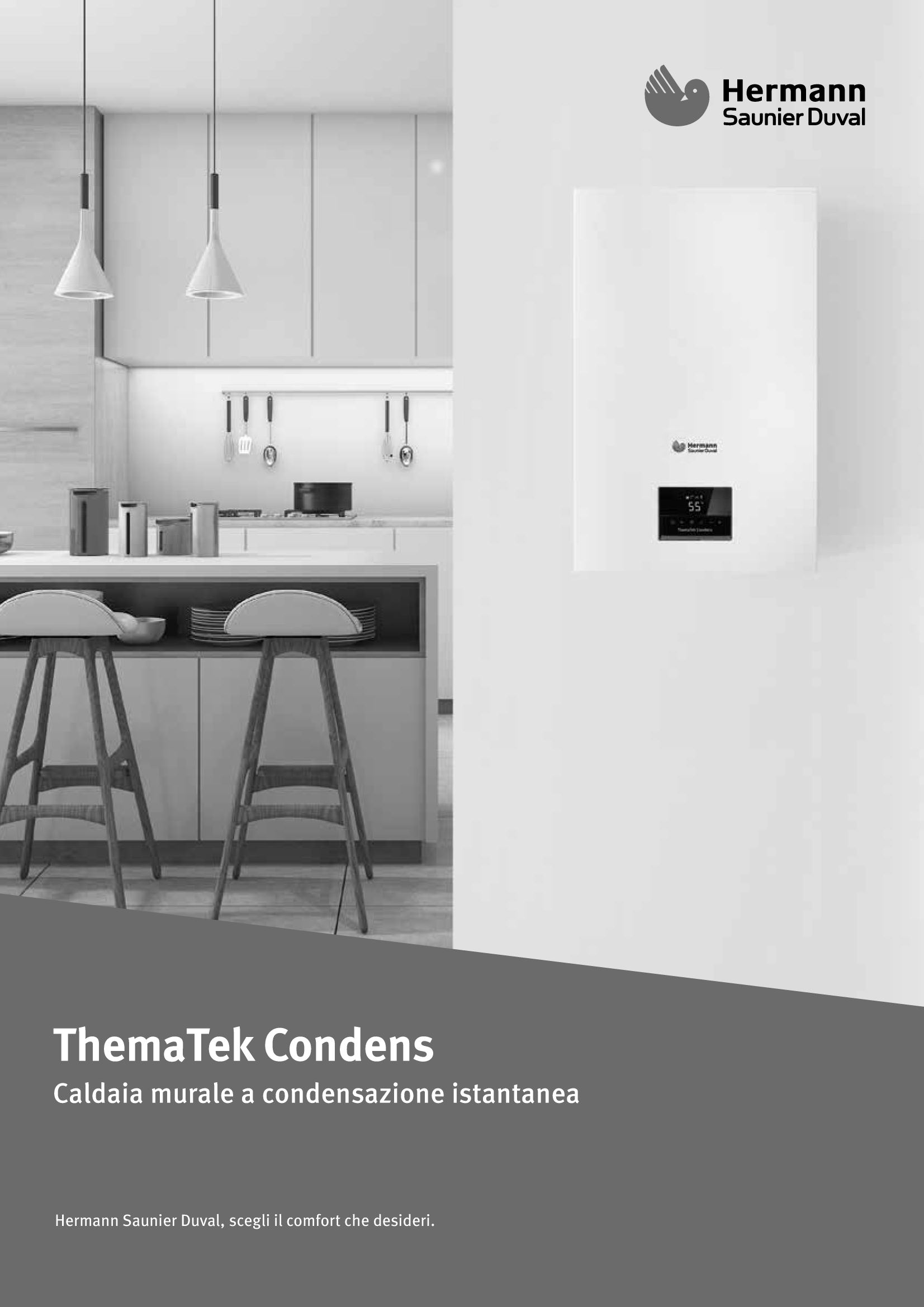 Caldaia THEMATEK CONDENS 24 - immagine 3